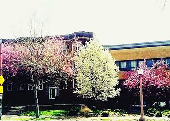 Plants growing in house