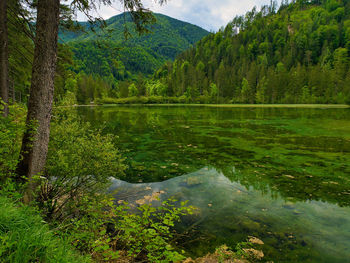 Scenic view of mountains