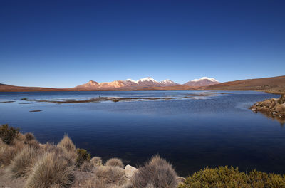 Scenic view of sea against clear blue sky