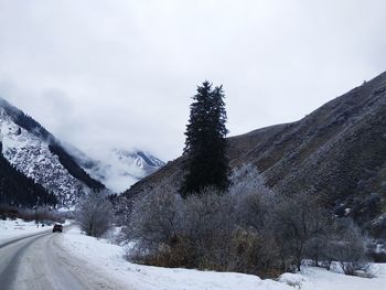 Snow covered road by trees against sky