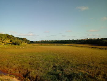 Scenic view of field against sky