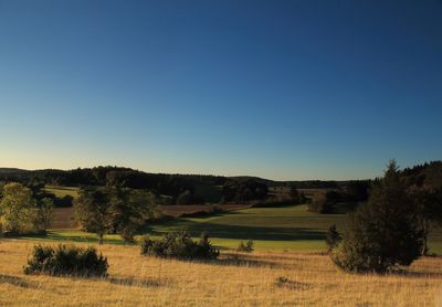 Scenic view of field against clear blue sky