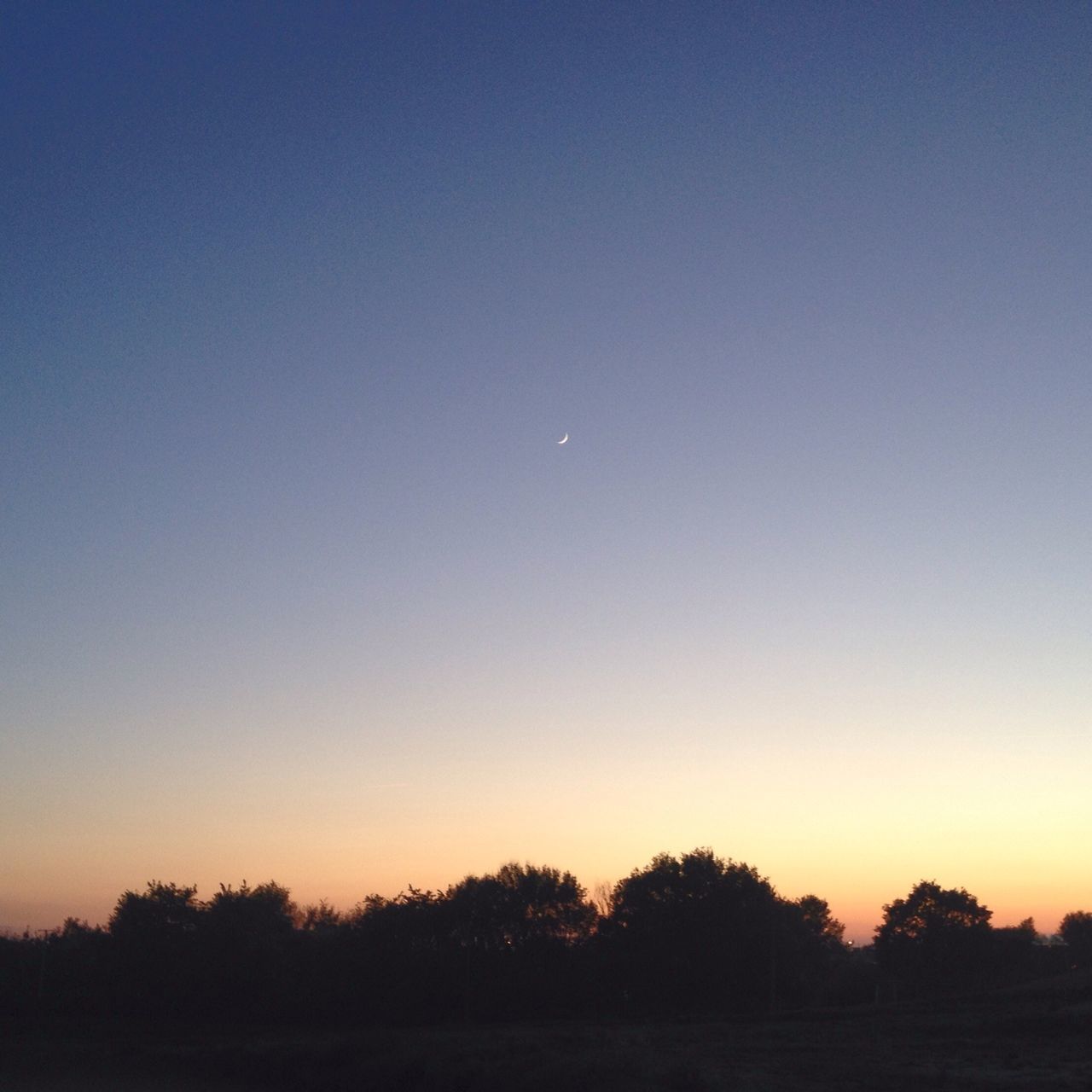 moon, sunset, tree, nature, tranquil scene, silhouette, beauty in nature, scenics, tranquility, clear sky, copy space, outdoors, sky, no people, landscape, crescent, half moon, astronomy, night