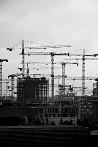 Cranes on a construction site in front of the sky 