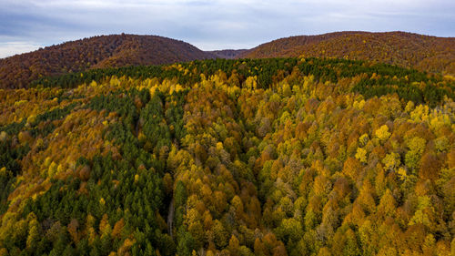 Scenic view of mountains against sky during autumn