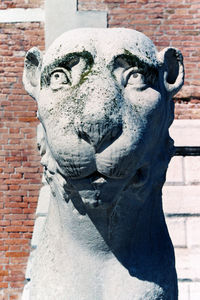 Close-up of animal statue against wall