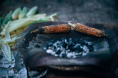 Close-up of corns on barbecue grill