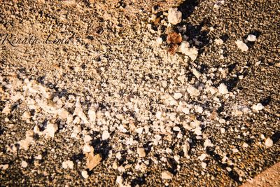 Full frame shot of pebbles on sand at beach