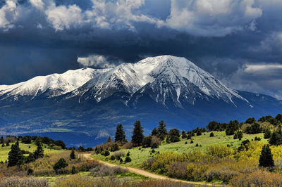 Scenic view of field by snowcapped mountains against sky