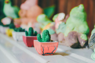 Close-up of potted plant on table