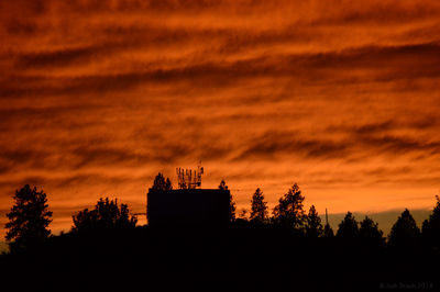 Silhouette of tree against cloudy sky at sunset