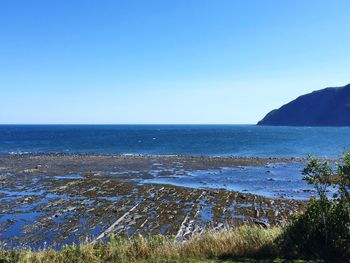 Scenic view of sea against clear blue sky