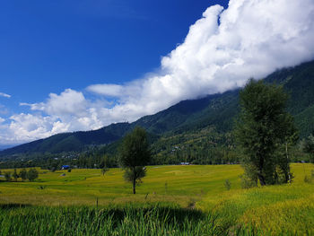 Scenic view of landscape against sky