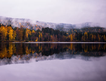 Scenic view of lake with trees in background