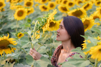 Close-up of woman standing amidst yellow flowering plants