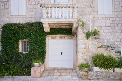 Old house in europe decorated with different plants