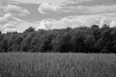 Scenic view of grassy field against cloudy sky