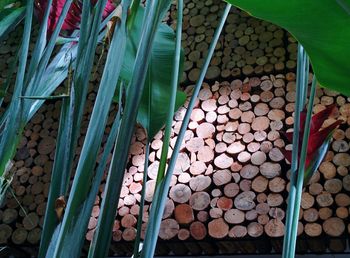 Full frame shot of market stall