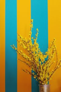Close-up of yellow flower tree against clear sky