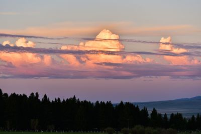 Scenic view of silhouette trees against sky during sunset