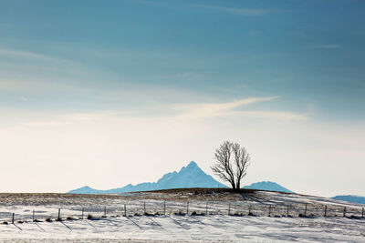 Scenic view of snow covered mountains against sky