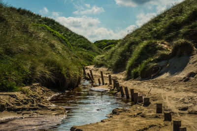 Scenic view of trees against sky