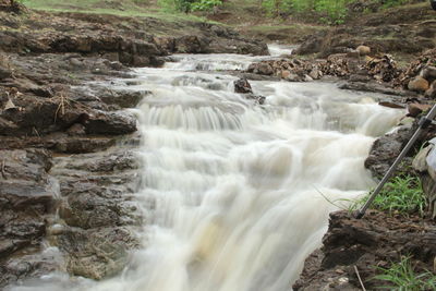 Scenic view of waterfall in forest