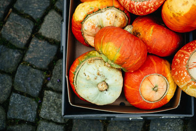 High angle view of pumpkins in a box on cobblestone street