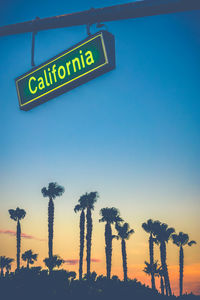 A california street sign over palm trees at sunset with copy space