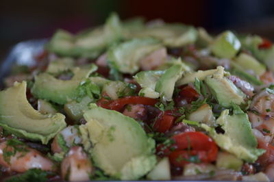 Close-up of salad