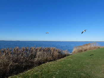 Scenic view of sea against clear sky