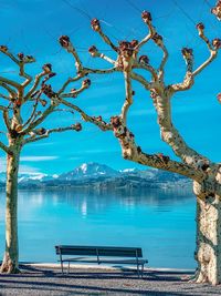 Scenic view of lake against blue sky