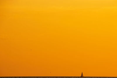 Silhouette bird flying against orange sky