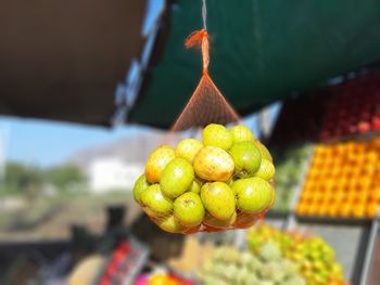 Close-up of fruits hanging in market stall