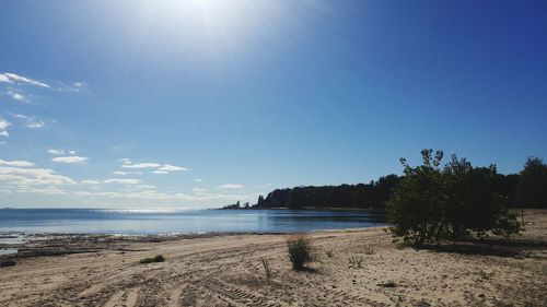 Scenic view of beach against clear blue sky