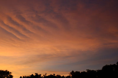 Low angle view of silhouette trees against orange sky