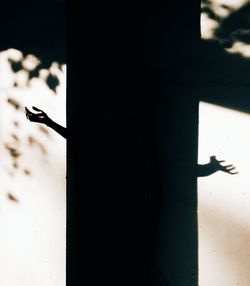 Close-up of lizard on beach