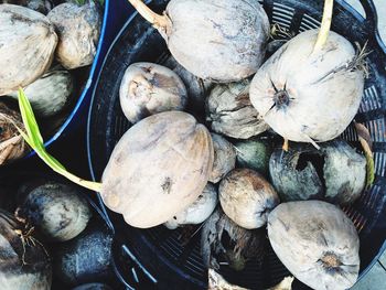 Directly above shot of coconuts in containers