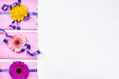 Directly above shot of pink flowering plants on table