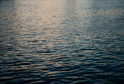 Full frame shot of water surface