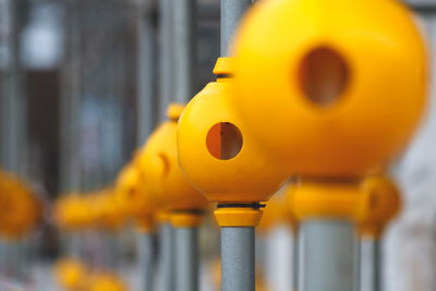 Close-up of yellow lantern