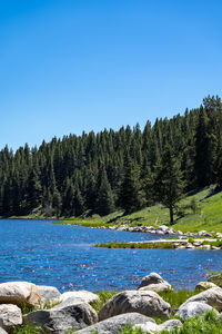 Scenic view of waterfall in forest against clear blue sky