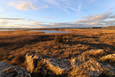 Scenic view of reeds and lake against mountains and sky