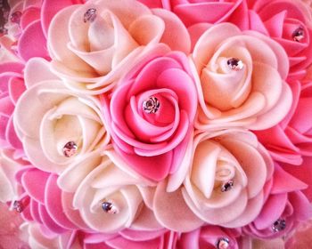 Close-up of pink roses