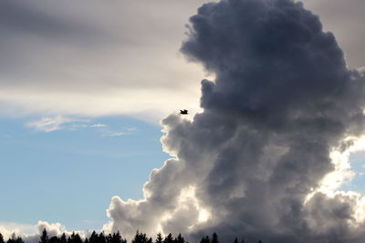 Low angle view of silhouette bird against sky