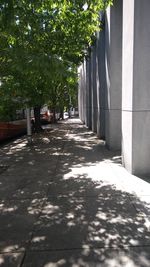 Empty footpath by road in park