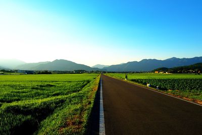 Empty road leading towards agricultural field against clear sky