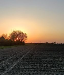 Silhouette trees on field against sky during sunset