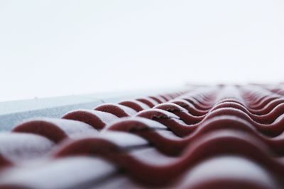 Close-up of sweet food against white background