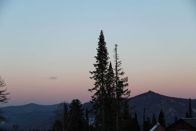 Trees on mountain against clear sky